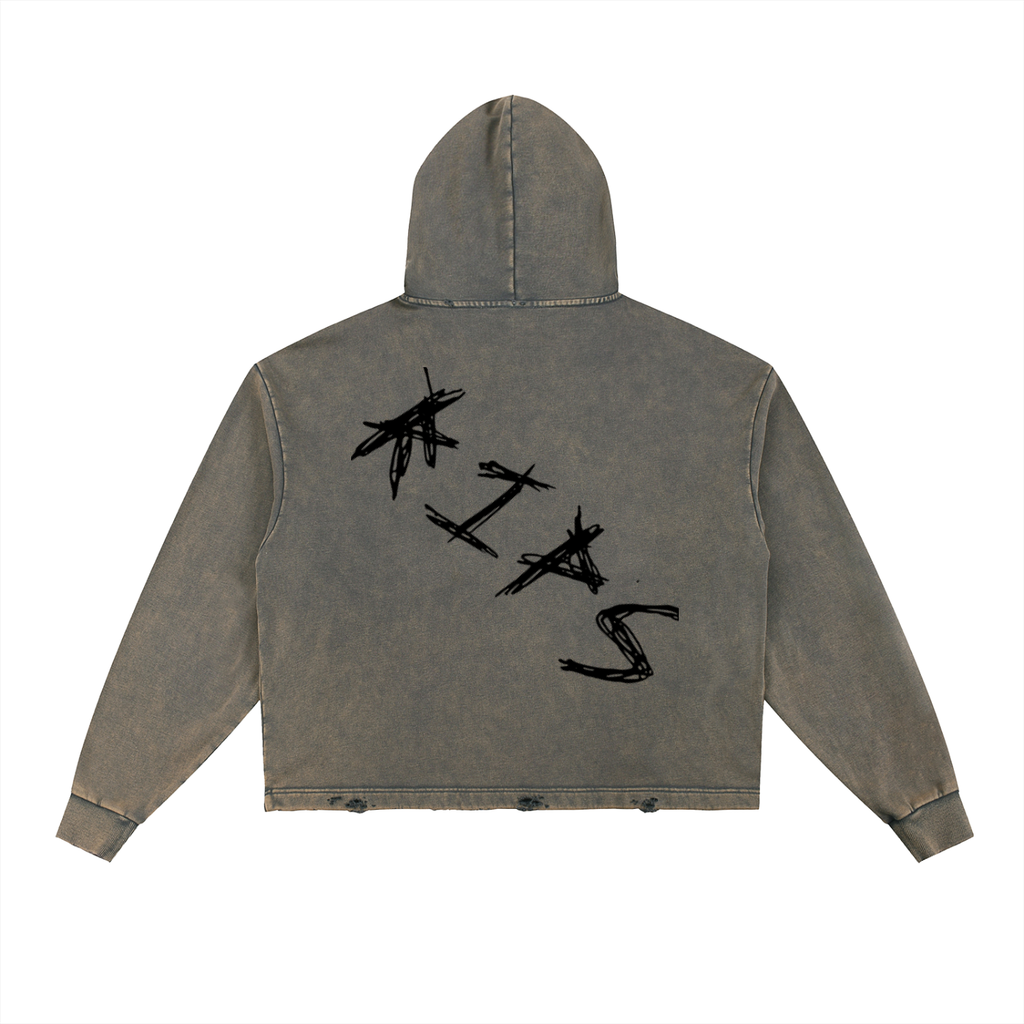 RIPS Web Hoodie