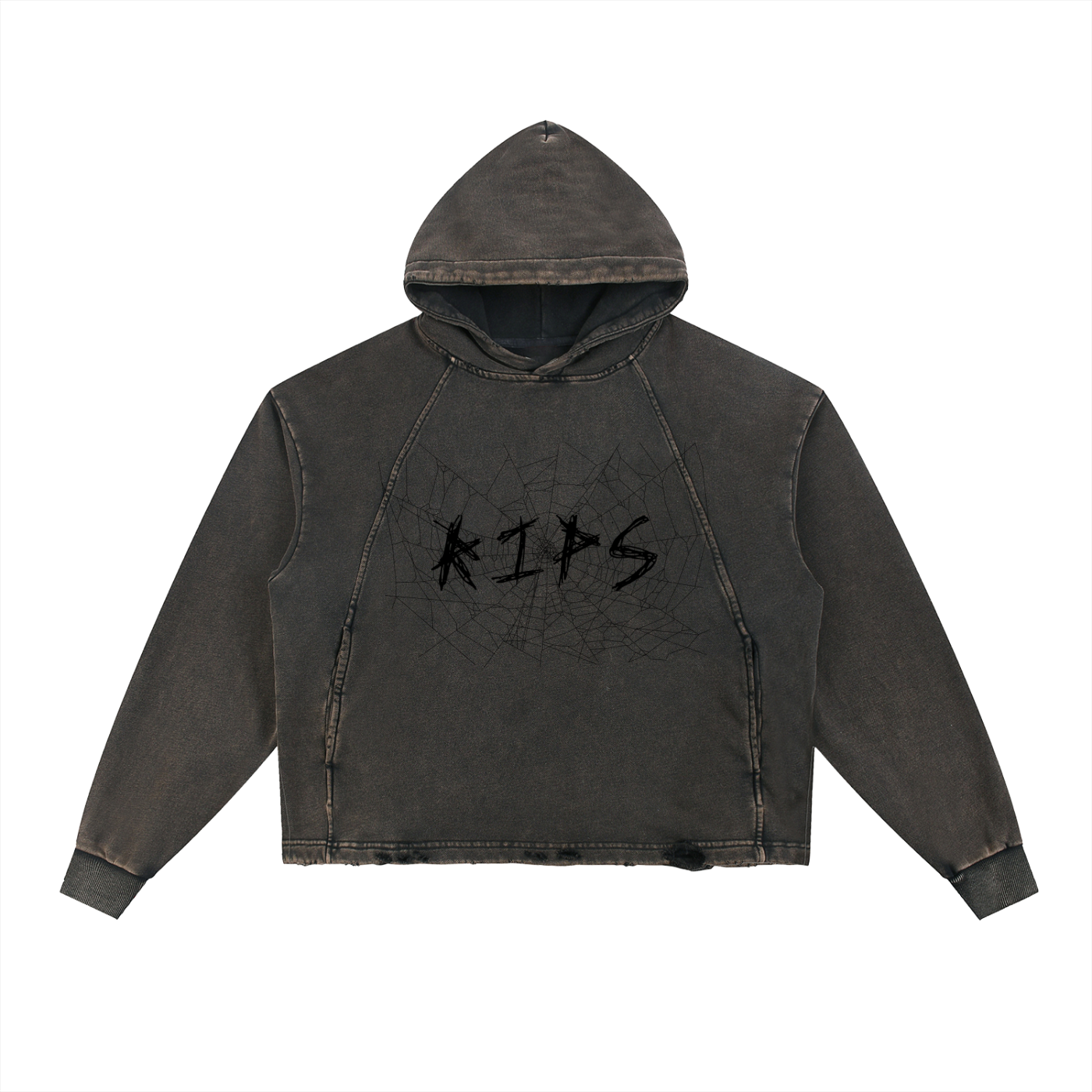 RIPS Web Hoodie